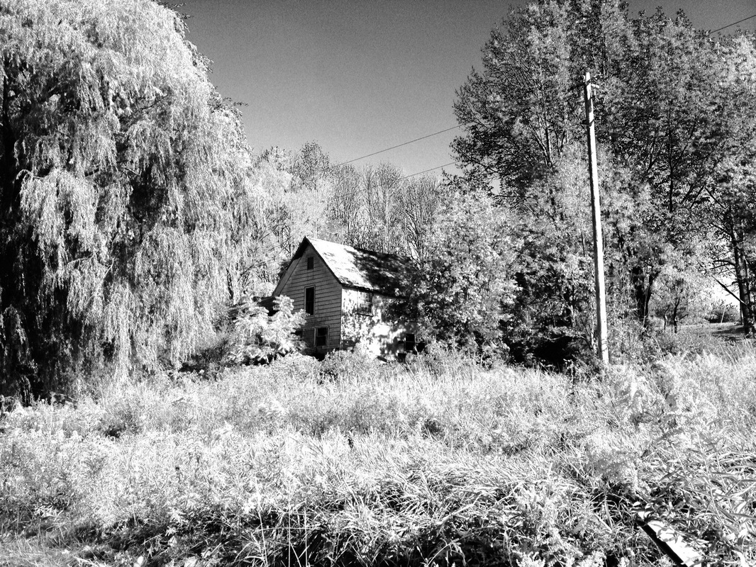 Picture